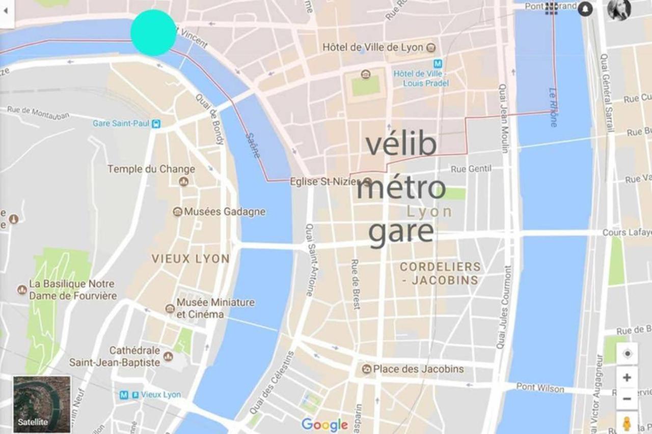 Appartement Haussmannien D'Artiste, Exception, Quai De Saone Balcon+Parking 리옹 외부 사진